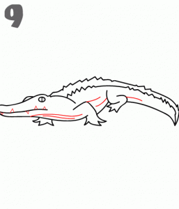 howtodrawacrocodile