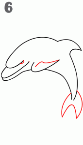 howtodrawadolphin