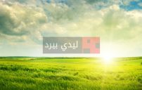 رسائل صباح الورد للزوج