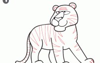 how to draw a tiger