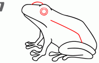 howtodrawafrog