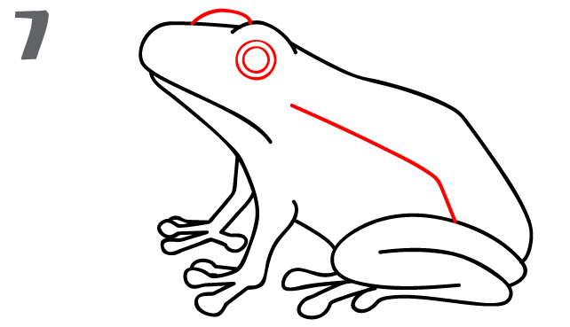 howtodrawafrog