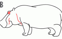 howtodrawahippo