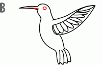 howtodrawahummingbird