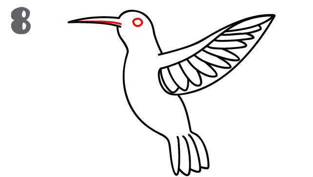 howtodrawahummingbird