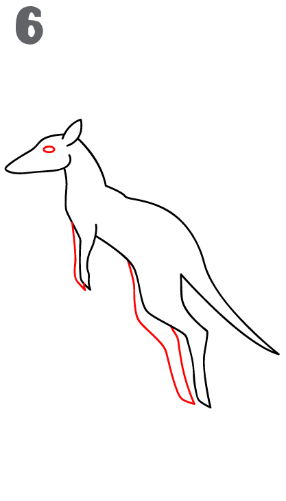 howtodrawakangaroo