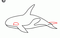 howtodrawakillerwhale