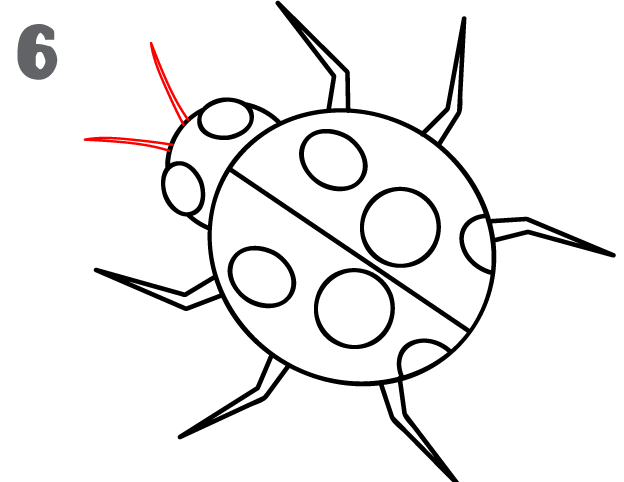 howtodrawaladybug