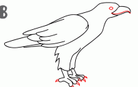 howtodrawaneagle