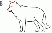 howtodrawawolf step8