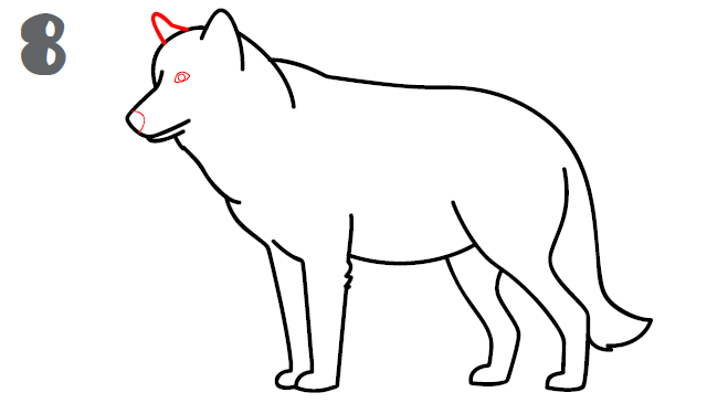 howtodrawawolf step8