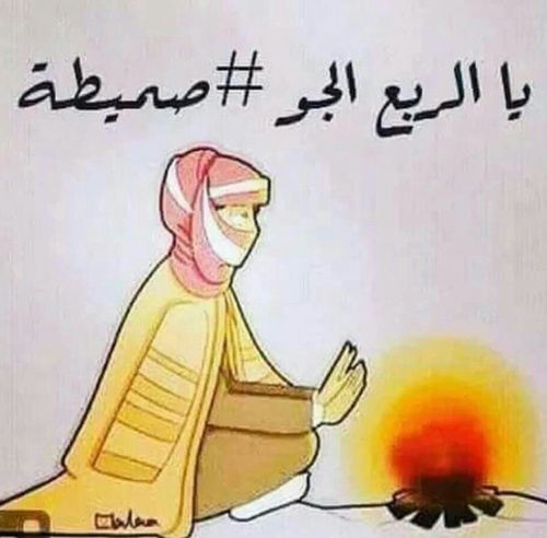 صور برد خليجية