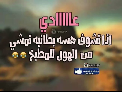 صور برد للفيس بوك