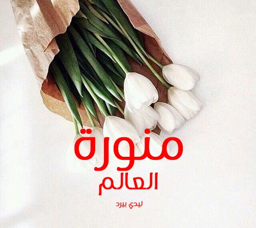 صور منورة 4