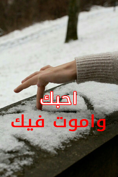 احبك واموت فيك شتوية