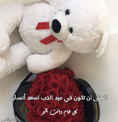 اجمل صور تهنئة عيد الحب 4