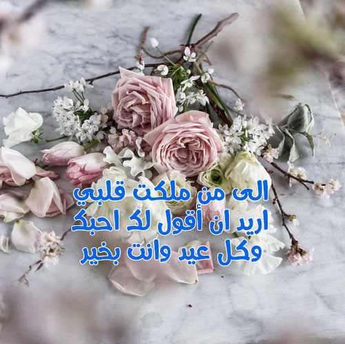 صور زهور عيد الحب 40