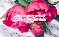 شعر اعتذار للحبيب