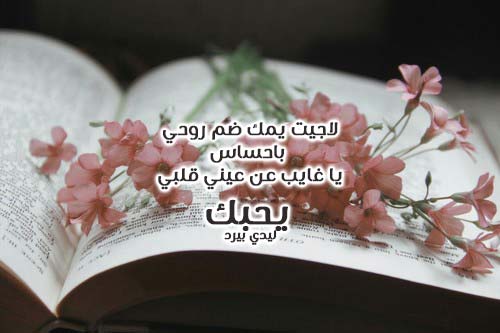 شعر شوق وغزل