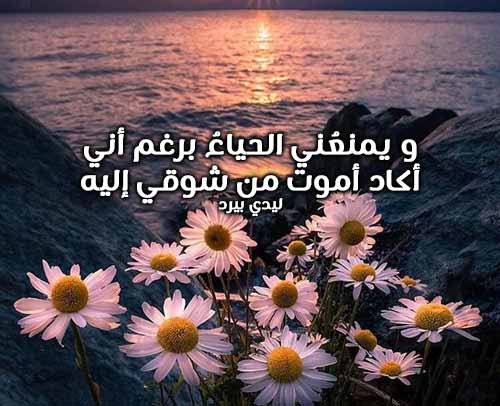 شعر شوق ولهفة