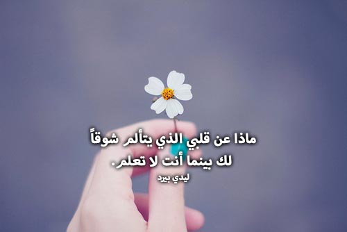 كلمات شوق روعه