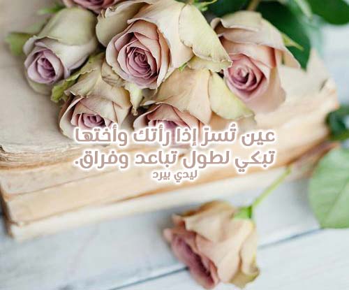 شعر شوق فصيح