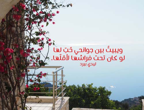 شعر غزل فصيح