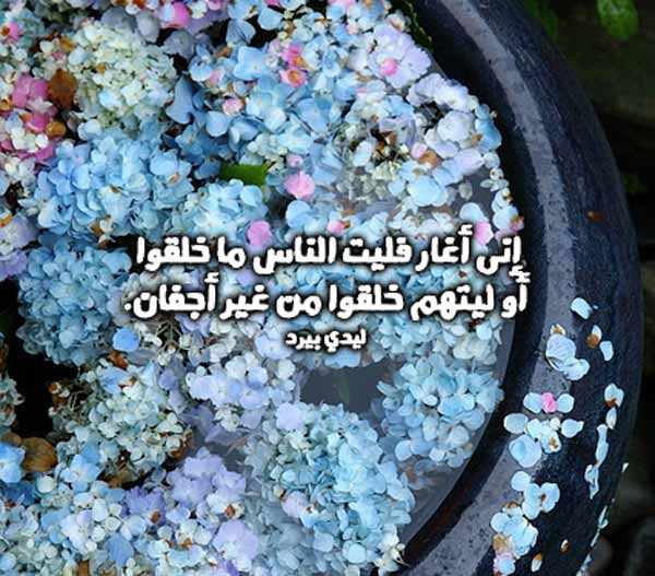 صور شعر غزل قوي