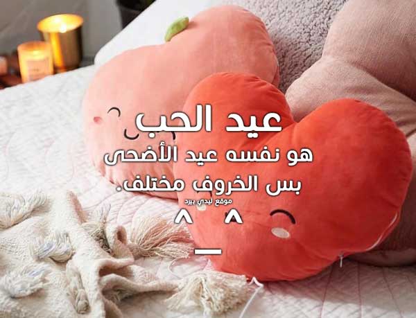 عبارات مضحكة عن عيد الحب