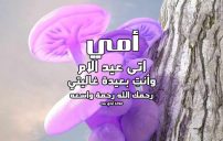 كلام عن عيد الام المتوفية