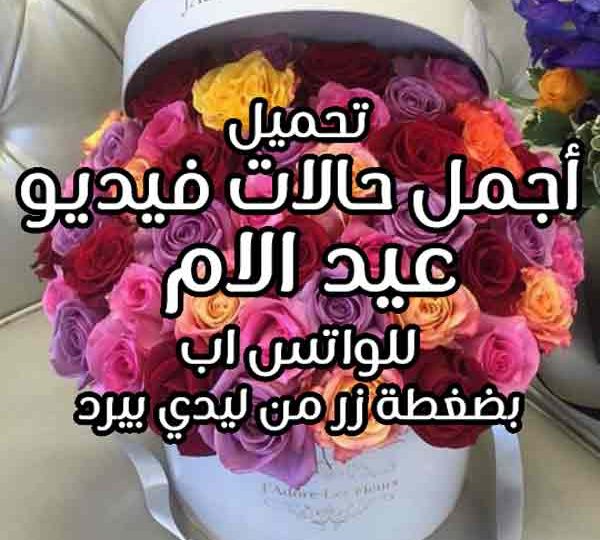 صور حالات فيديو عيد الام