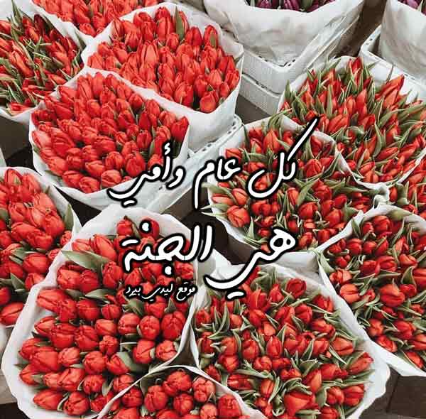 صور تهنئة عيد الام مكتوب عليها