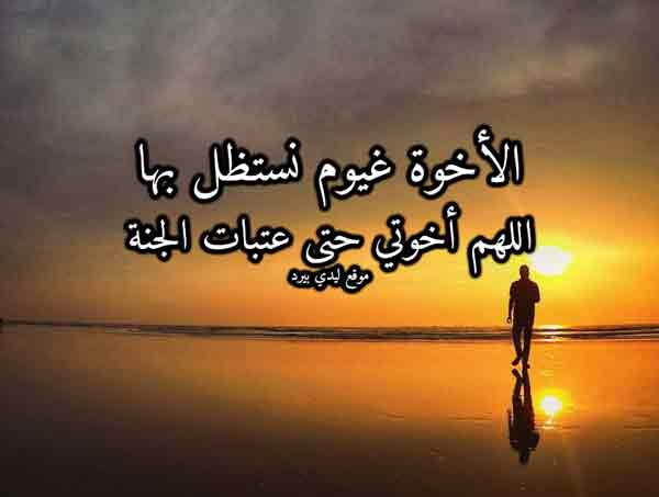 كلمات عن الاخوة