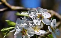 رسائل رومانسية مسائية