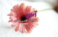 صور الرد على العمر كله