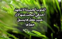 رسائل اصدقاء غاليين