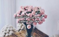 دعاء لحدوث الحمل