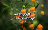 دعاء للام المتوفيه