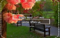 عبارات غزل للحبيب