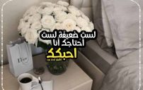 كلام يثبت اني احبك