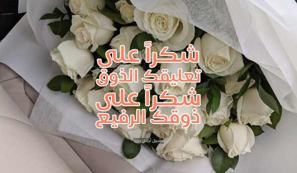 رد على تعليق ذوق