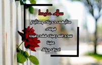 ردود على الشعر