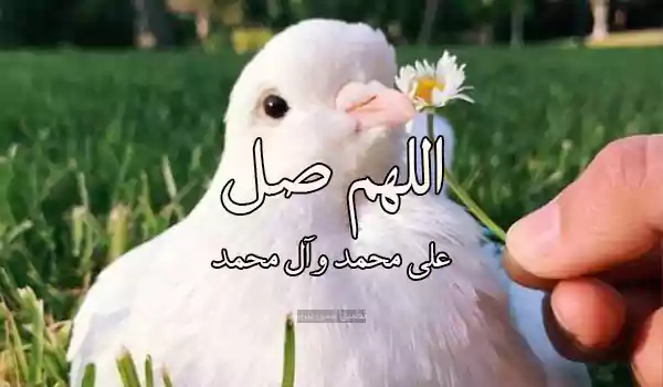 رسائل اللهم صل على محمد