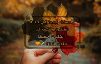 ردود على منشورات