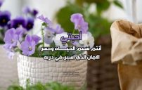 رسائل جميلة للاحباب