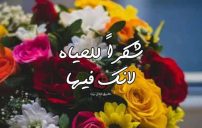 صور شكر