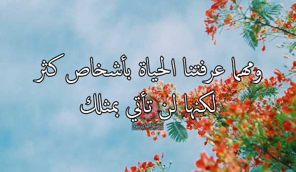 رسالة للمدير في العمل