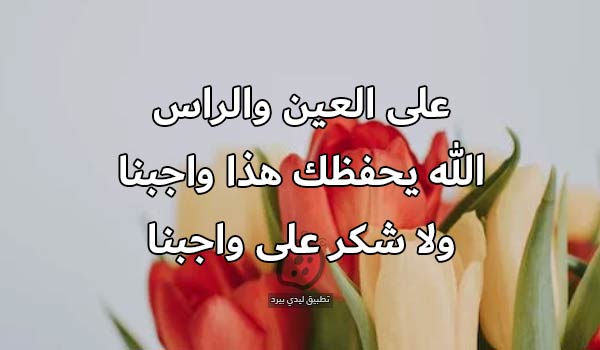 رد على شكر الضيف