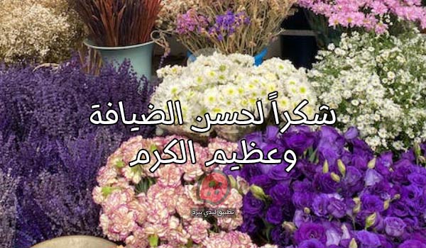 منشورات في ضيافة