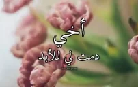 صور عن الأخ